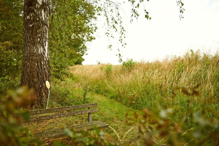 Rest area on the Nibelungengau long-distance hiking trail in Artstetten