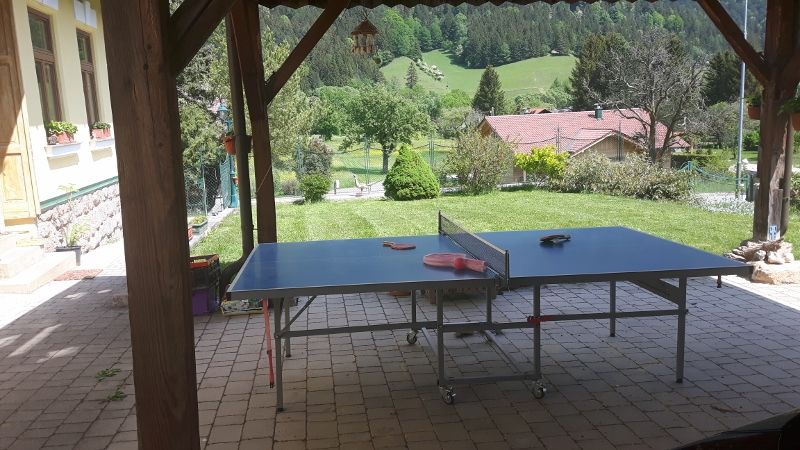 Table tennis table under a carport with a view of a green garden and hills in the background.