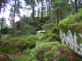 Stein-Gigantenweg Nr. 51, &copy; Hochmuth