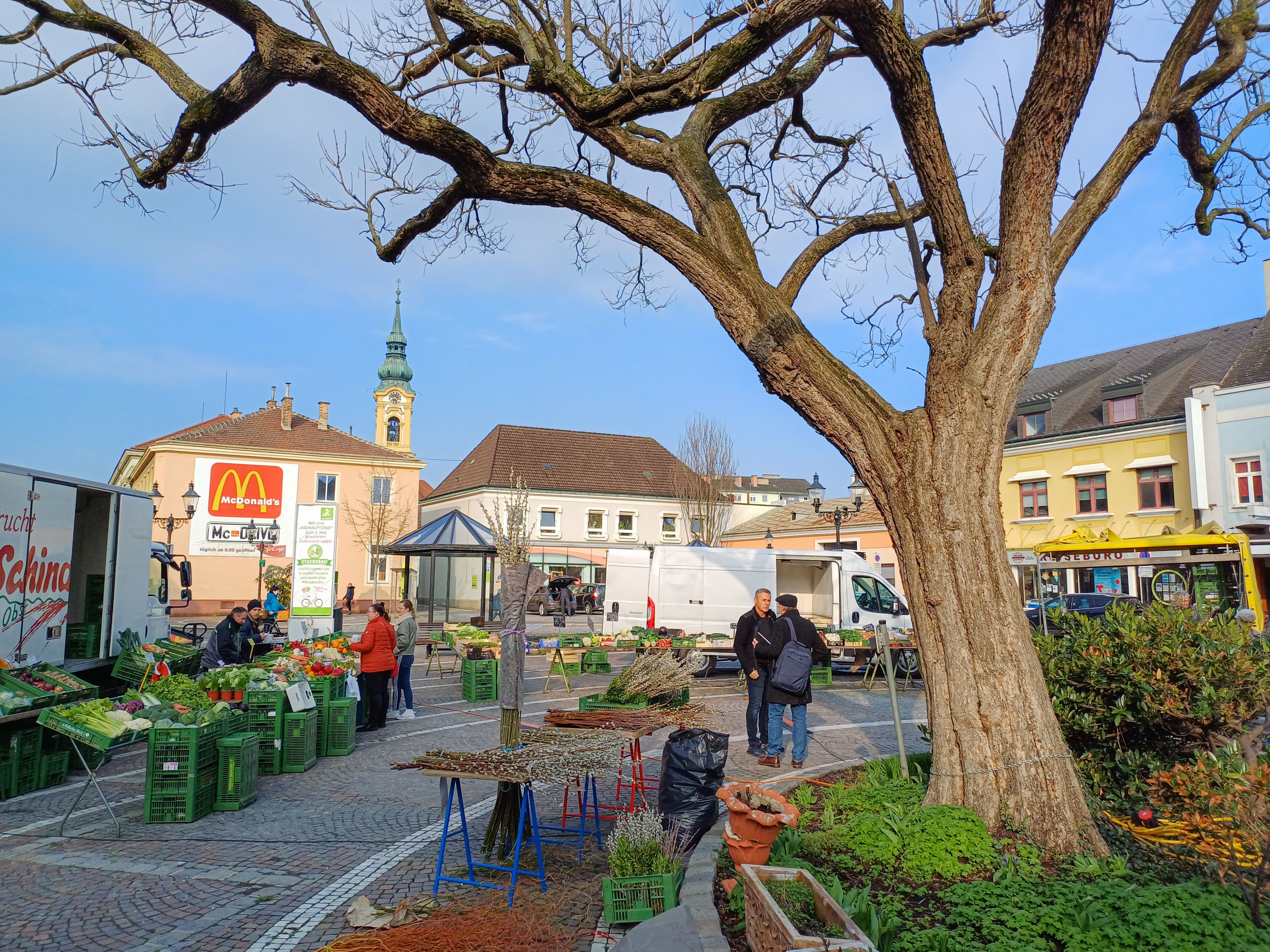 Weekly market in Stockerau with stalls, a large tree and buildings in the background.