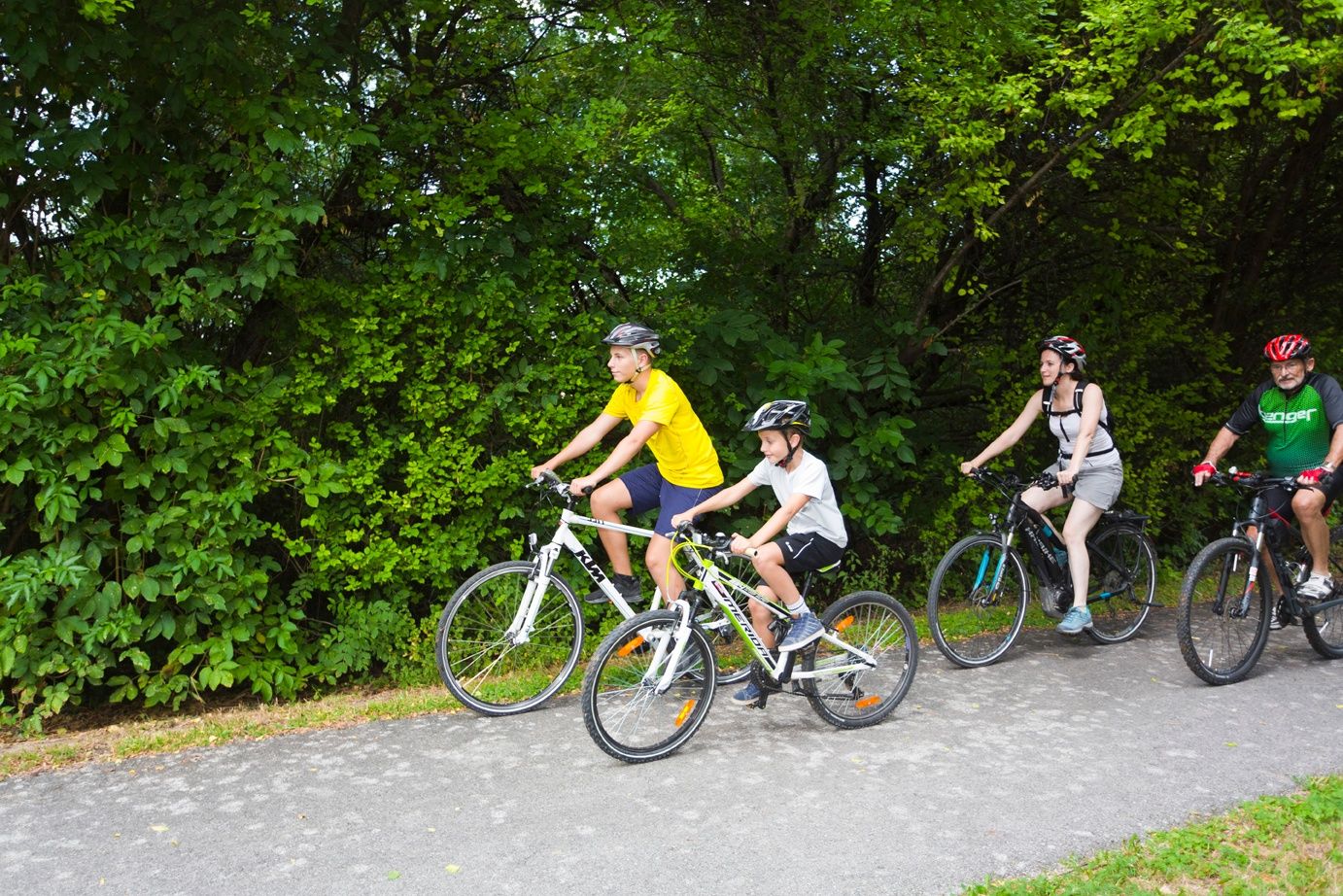 Great Tulln cycle path