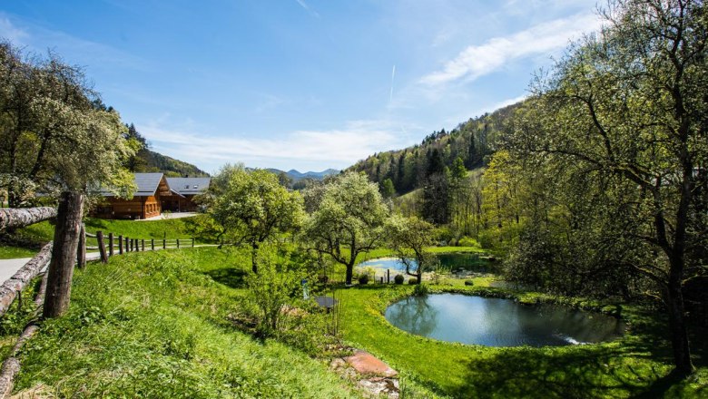 Ponds, © www.lensflair.at