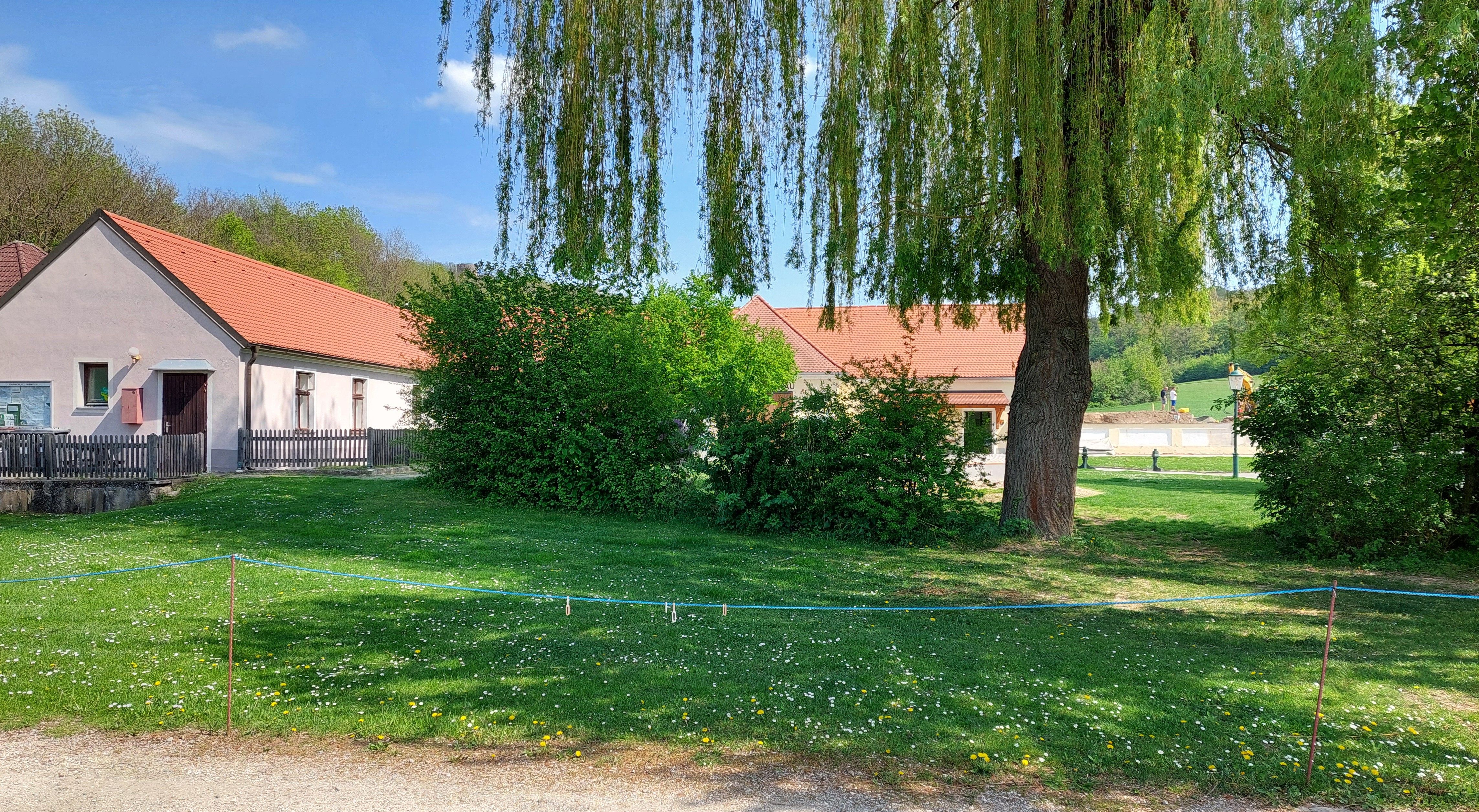 Green campsite with trees and buildings in the background.