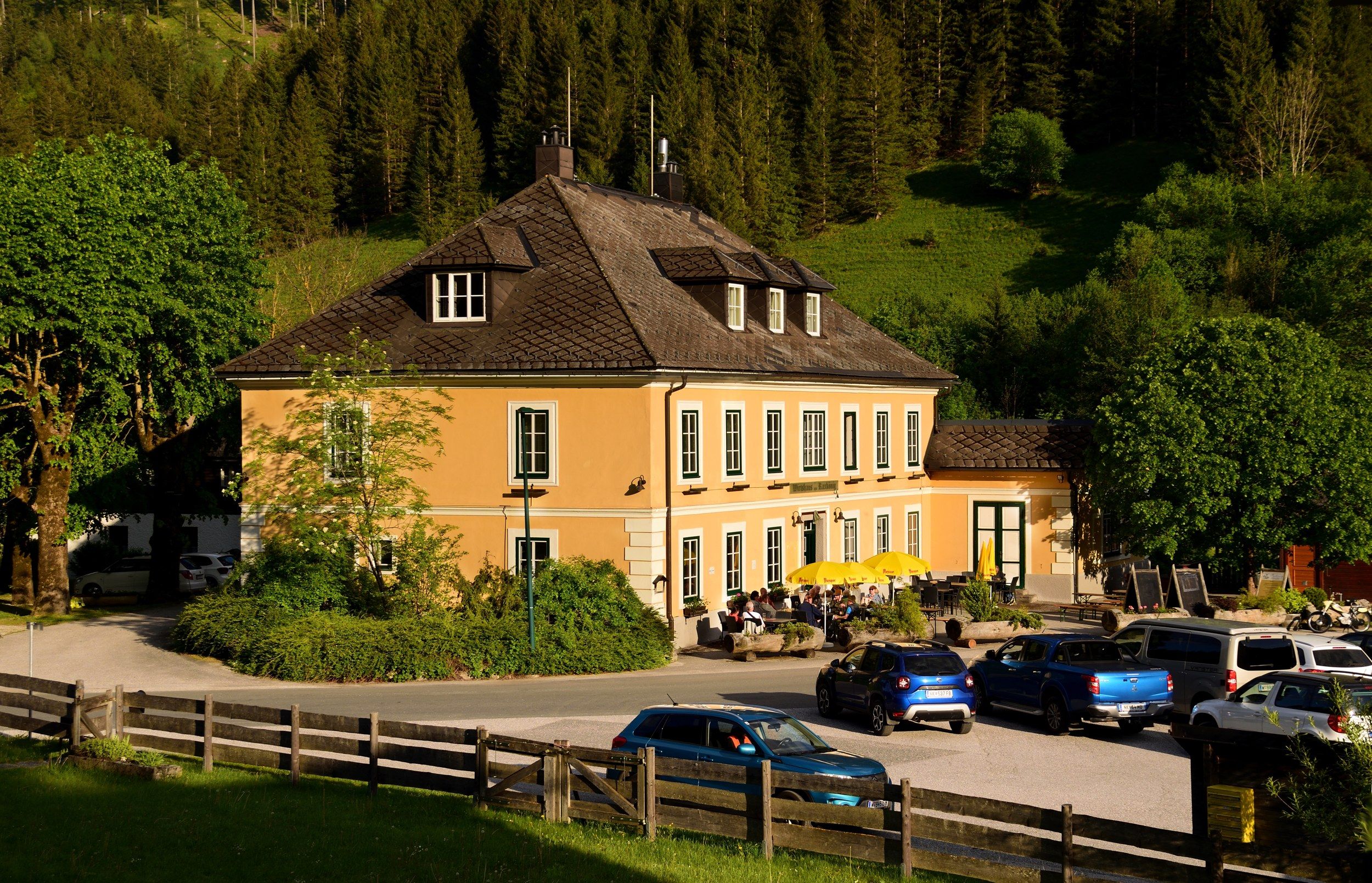 A yellow pub with a terrace and parasols, surrounded by trees and cars, in front of a wooded hill.