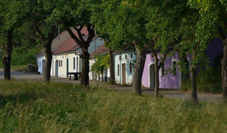Thal wine cellar lane, Ottenthal, Maringer winery, &copy; Weinstrasse Wagram, mywagram.at