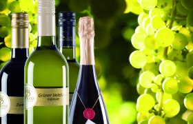 Wine bottles against a background of green grapes.