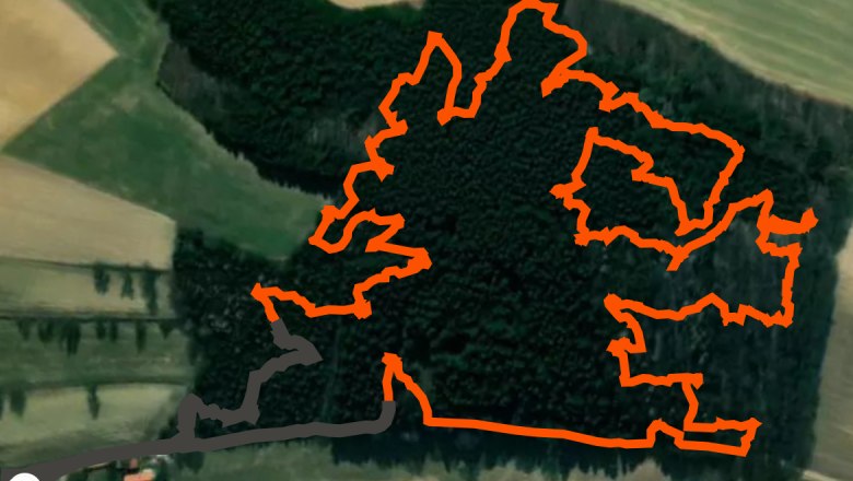 3D archery course - BSV Bärenwaldleiten, © 3D Bogenparcours – BSV Bärenwaldleiten