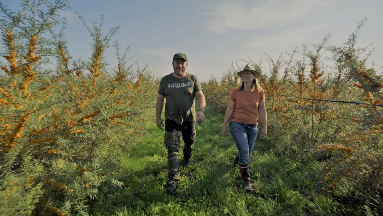Marchfeld organic sea buckthorn, &copy; Andel Film