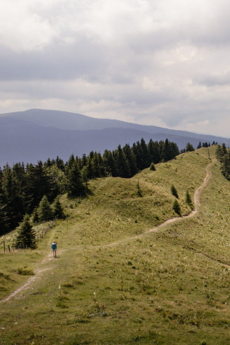 Hiking on the well-marked trails., © Niederösterreich Werbung/Franziska Consolati