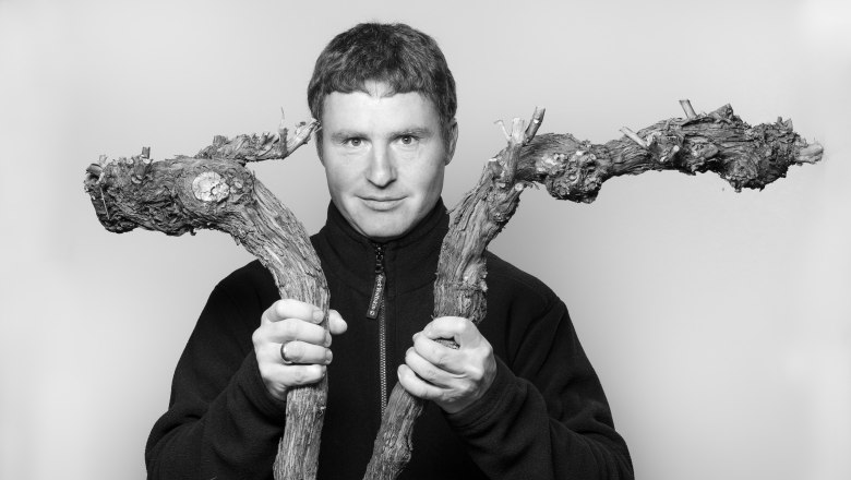 Person holds two vines in his hands.