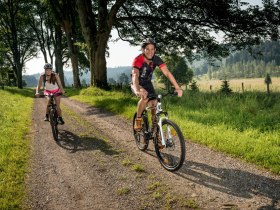Mountainbiken im Waldviertel, &copy; &copy; Waldviertel Tourismus, Studio Kerschbaum