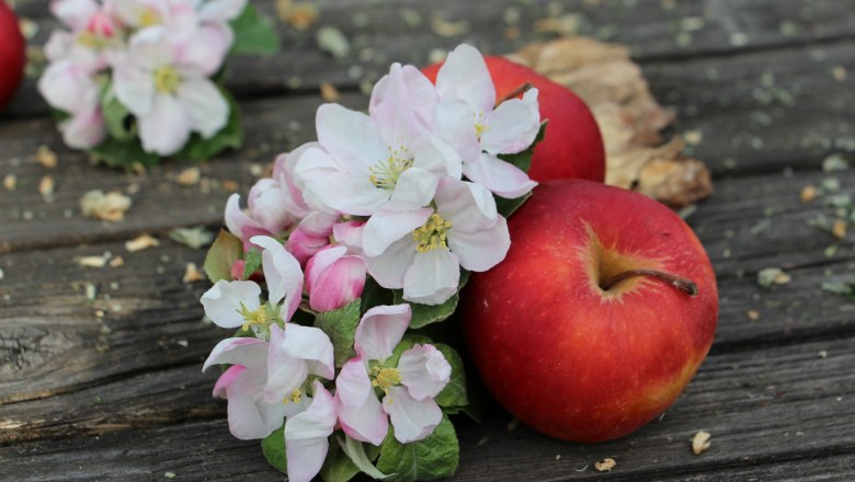 Harm Cider & fruit juice, &copy; Silvia Harm