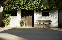Wine cellar lane in Hadres with white houses and vines.