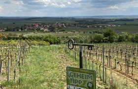 Riede Triftberg, © Weinstraße Weinviertel