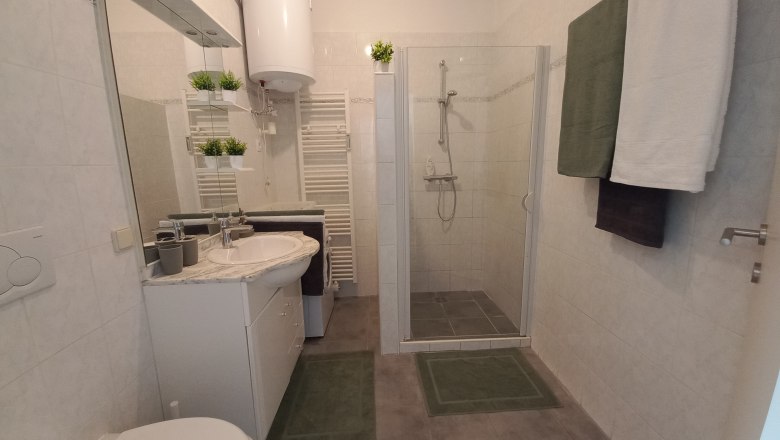 Modern bathroom with shower, washbasin, mirror and towels.