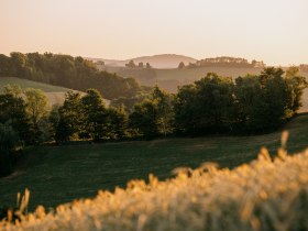 Gr&uuml;ne Landschaft bei Sonnenaufgang, &copy; Wiener Alpen