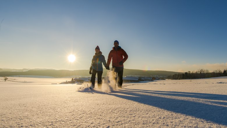 Snowshoe hiking in the Waldviertel, © Waldviertel Tourismus, Robert Herbst