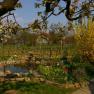 Pond in the garden of Haus Annemarie, © Familie Baumgartner