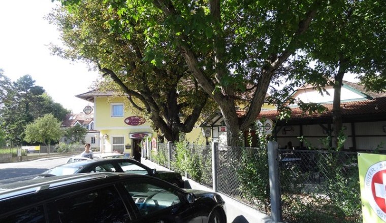 A shady garden with trees and parked cars in front of a yellow building.