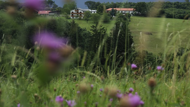 Garden, © Erika Berger