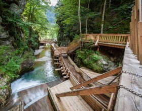 on the Holzweg (Wood Path) in the Mendlingtal, © Mostviertel Tourismus/weinfranz.at