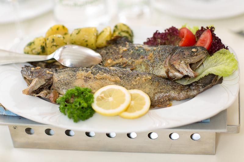 Nordwald trout