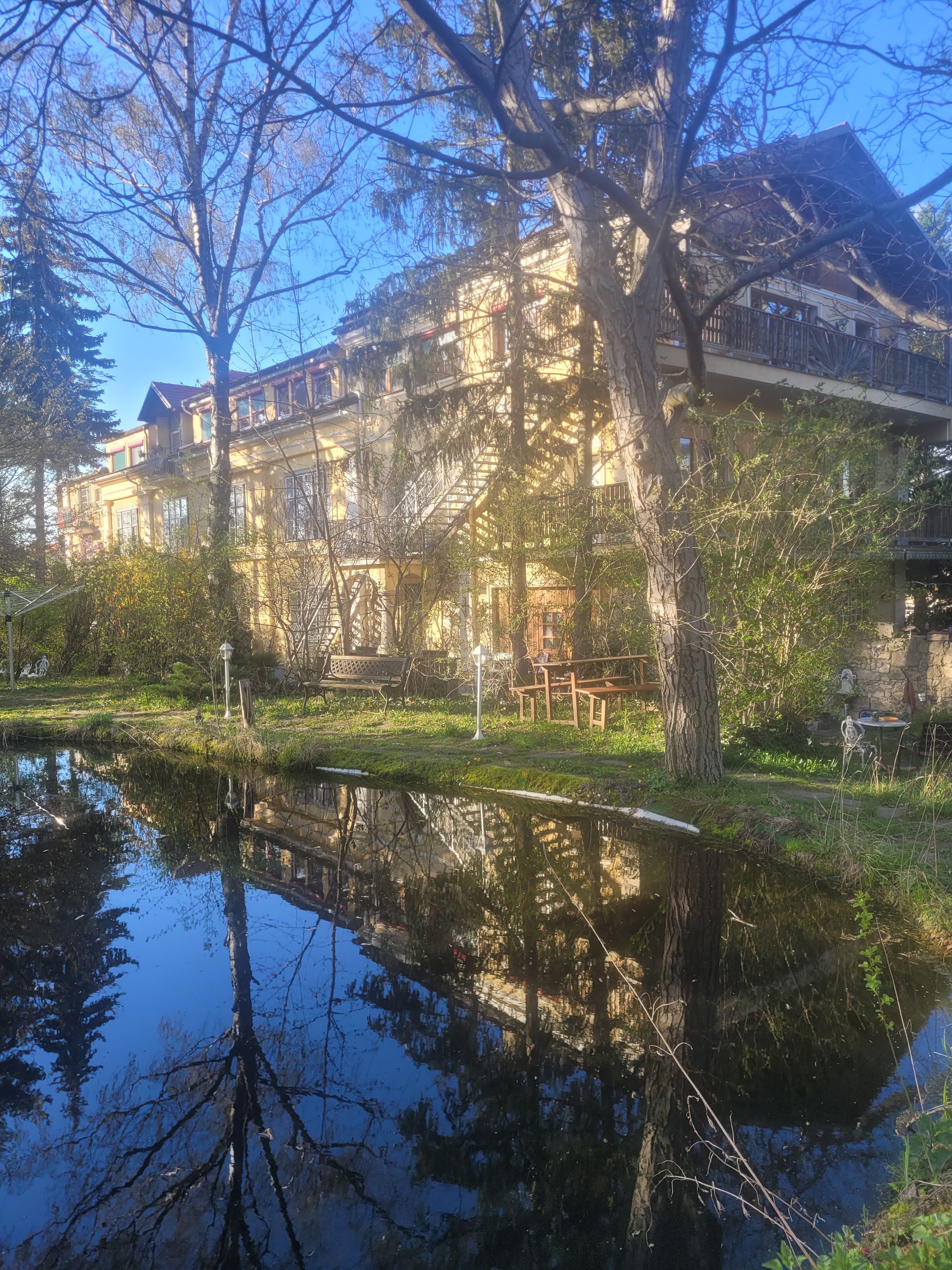 Pannonica, Wolfsthal, garden pond in spring