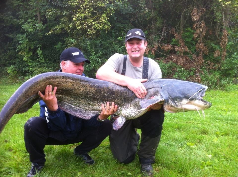 Two men are holding a large catfish in a meadow.