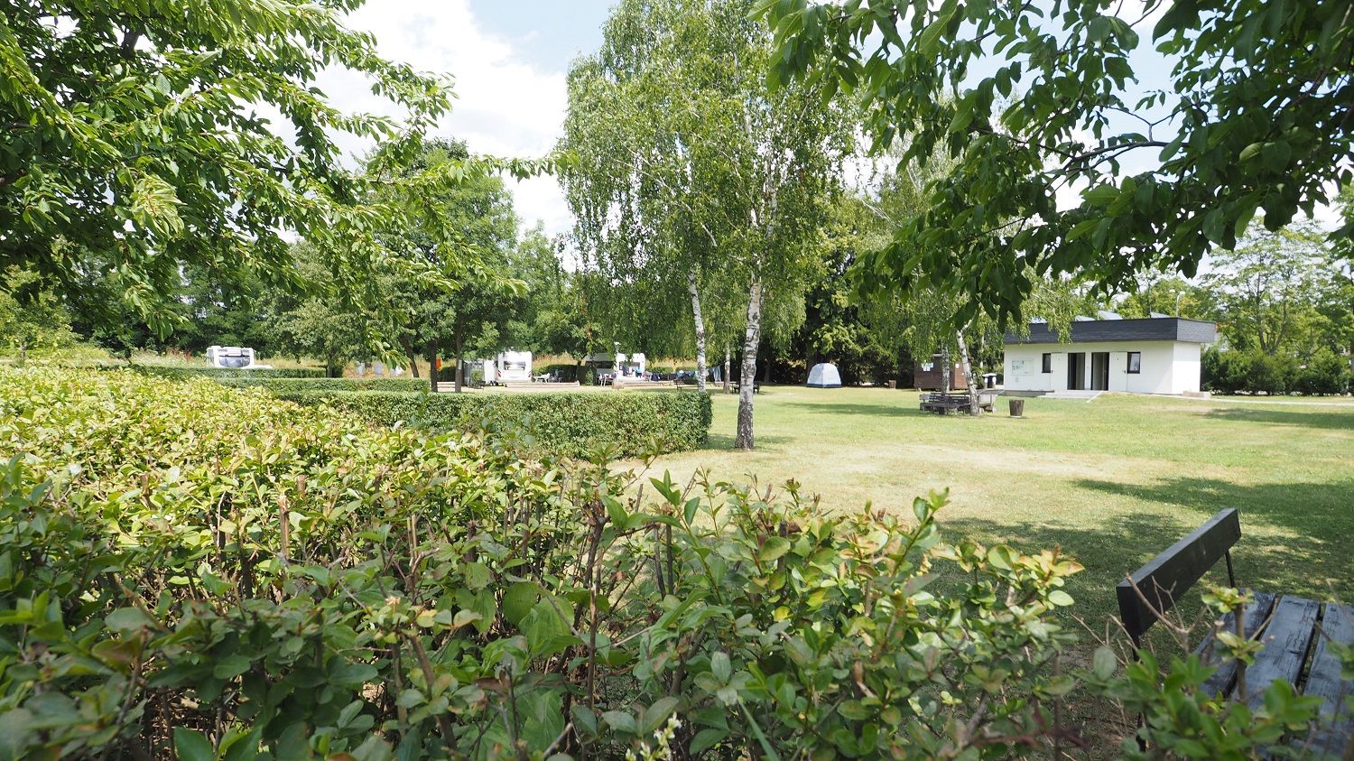 Pitch on a freshly mown meadow. Separated by a hedge.