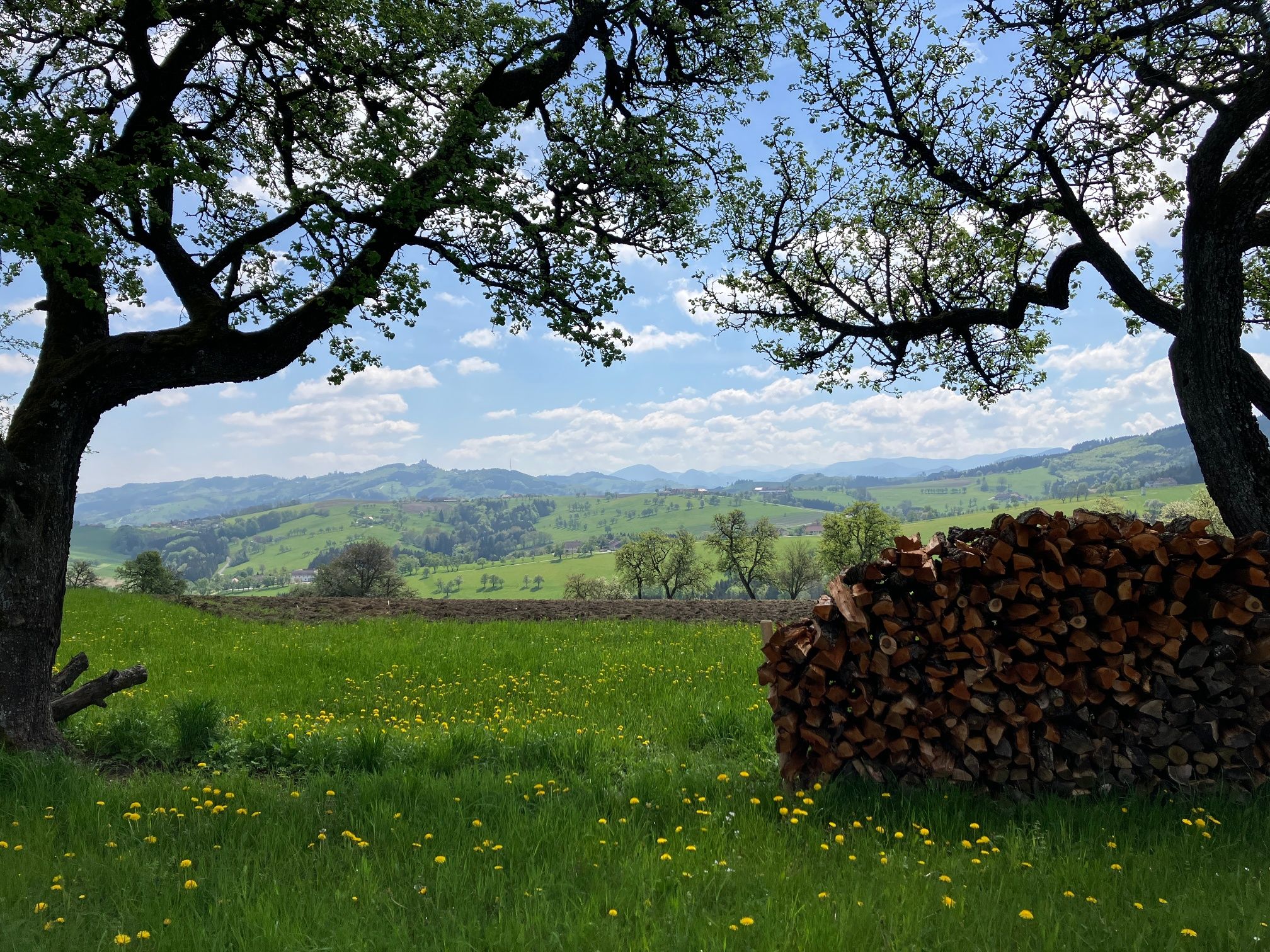 View of the landscape from the Fröschlauweg
