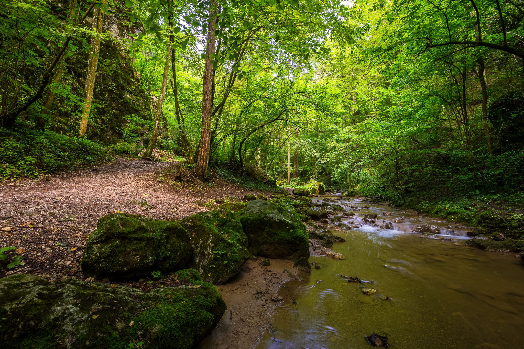 A forest path along a shallow stream in the Johannesbachklamm gorge, surrounded by lush greenery and rocks.