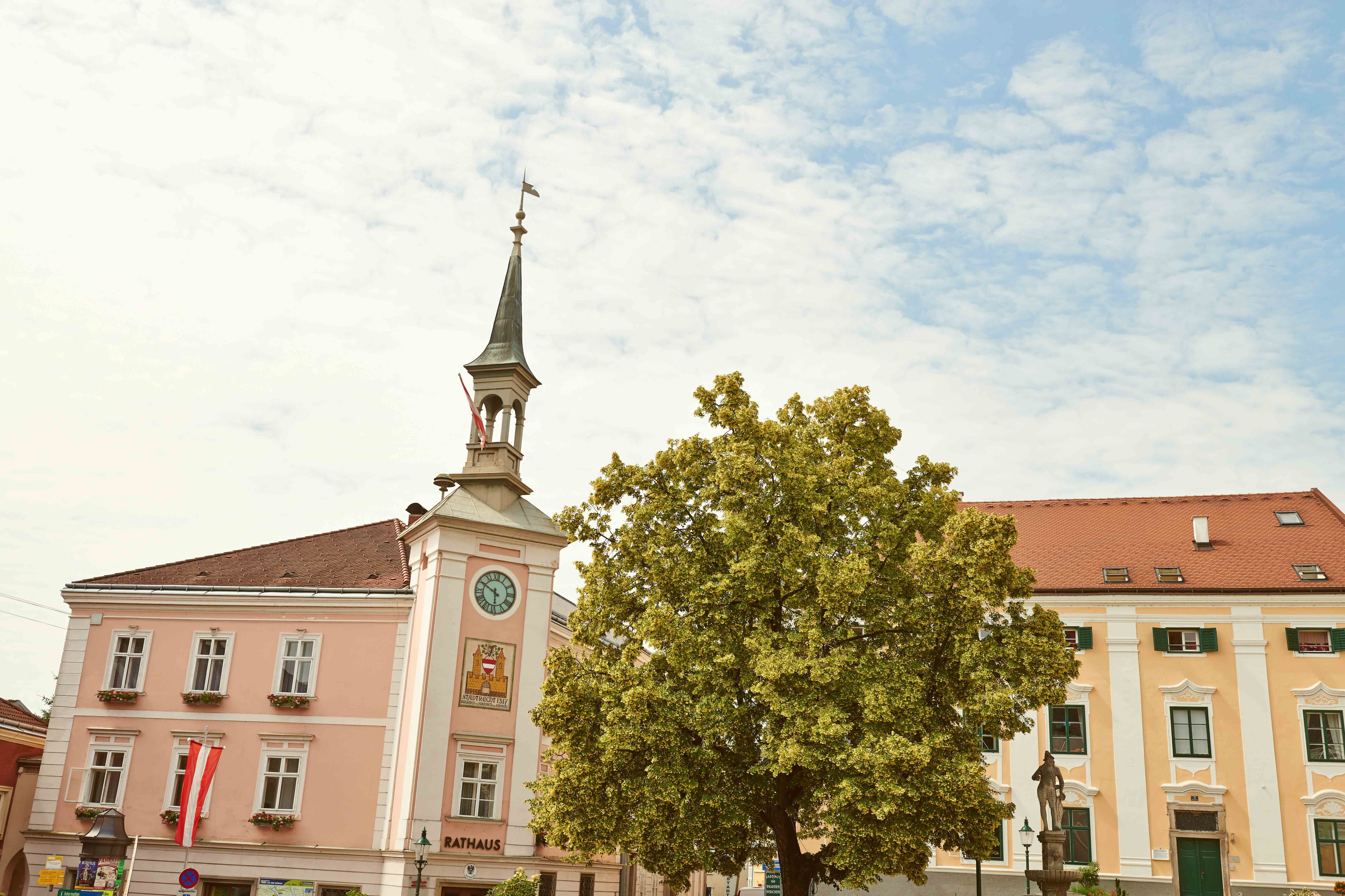 Main square of Ybbs with town hall and tree.