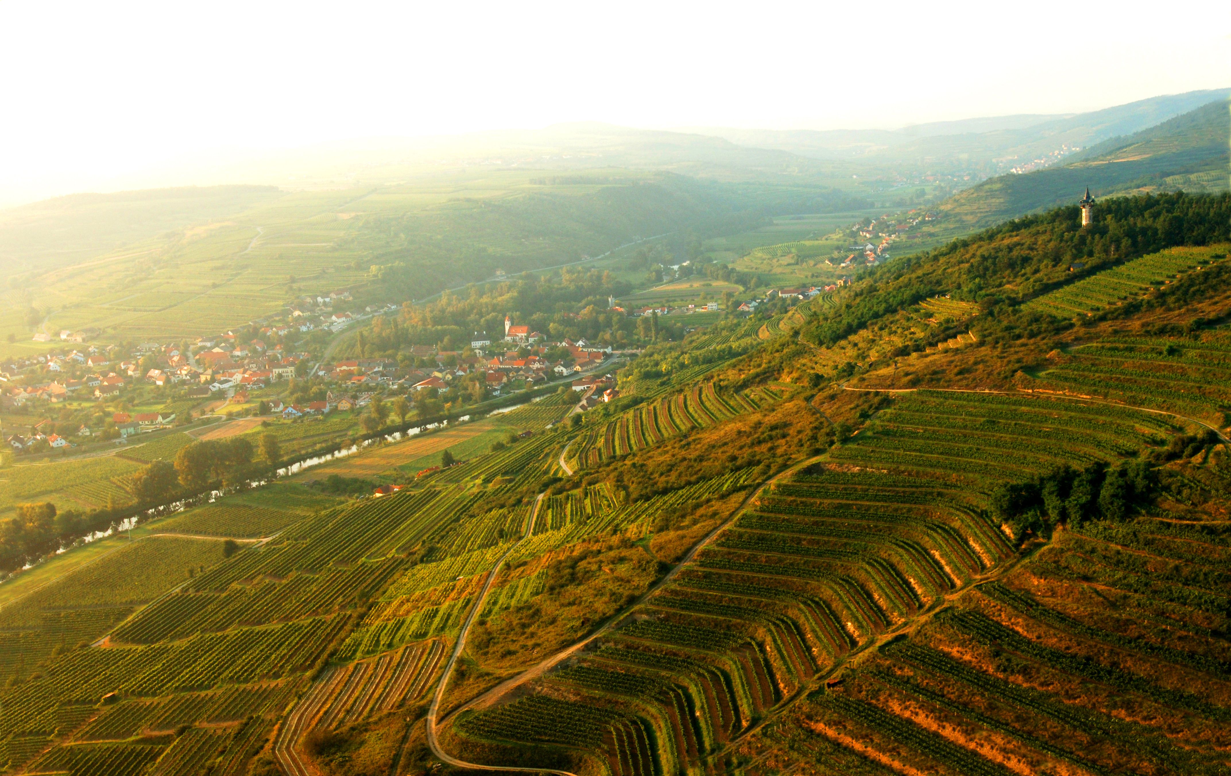 Aerial view of Langenlois with vineyards and village in the background.