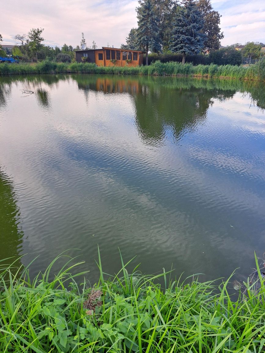 Landscape pond