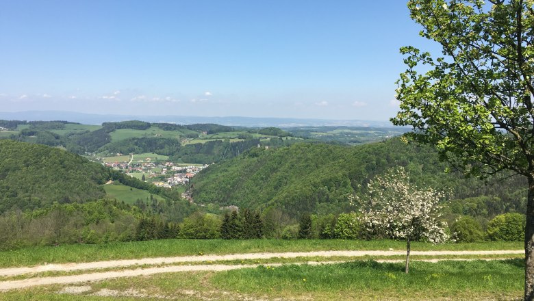 View vacation home Hochbrand, &copy; Familie Haag