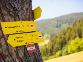 Zur Speckbacherh&uuml;tte, &copy; N&Ouml;W