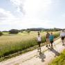 Four people Nordic walking on a country lane in a rural landscape.
