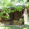 Log cabin in the forest with a pile of wood and green leaves in the foreground.