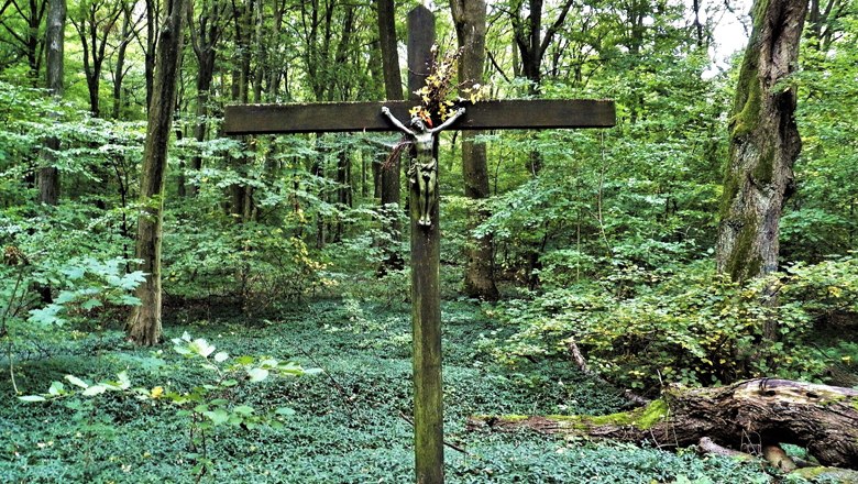 Listening station 7 Linden, VIA.CARNUNTUM., &copy; Donau Nieder&ouml;sterreich