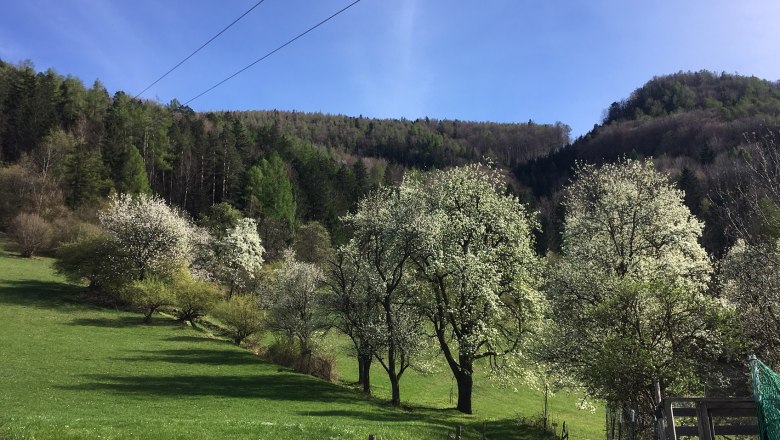 Hiking trail, © Familie Prack
