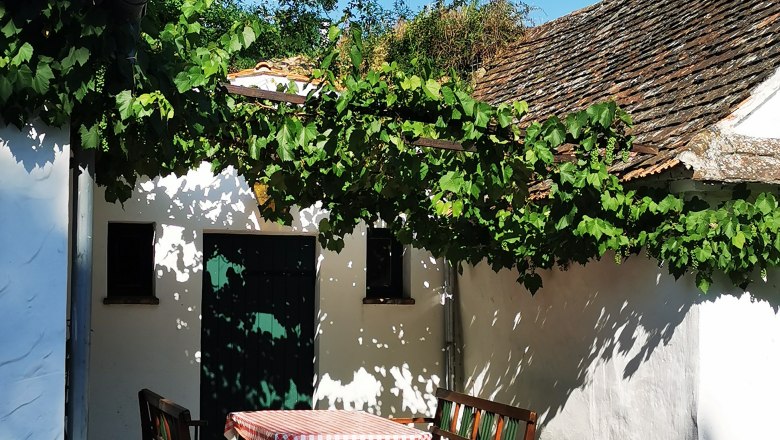 A table with a red and white checked cloth and wooden benches stands in a sunny courtyard with vines and white walls.