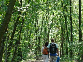 Maria Theresia Rundwanderweg - VIA.SILENTIUM., &copy; Donau Nieder&ouml;sterreich, Steve Haider