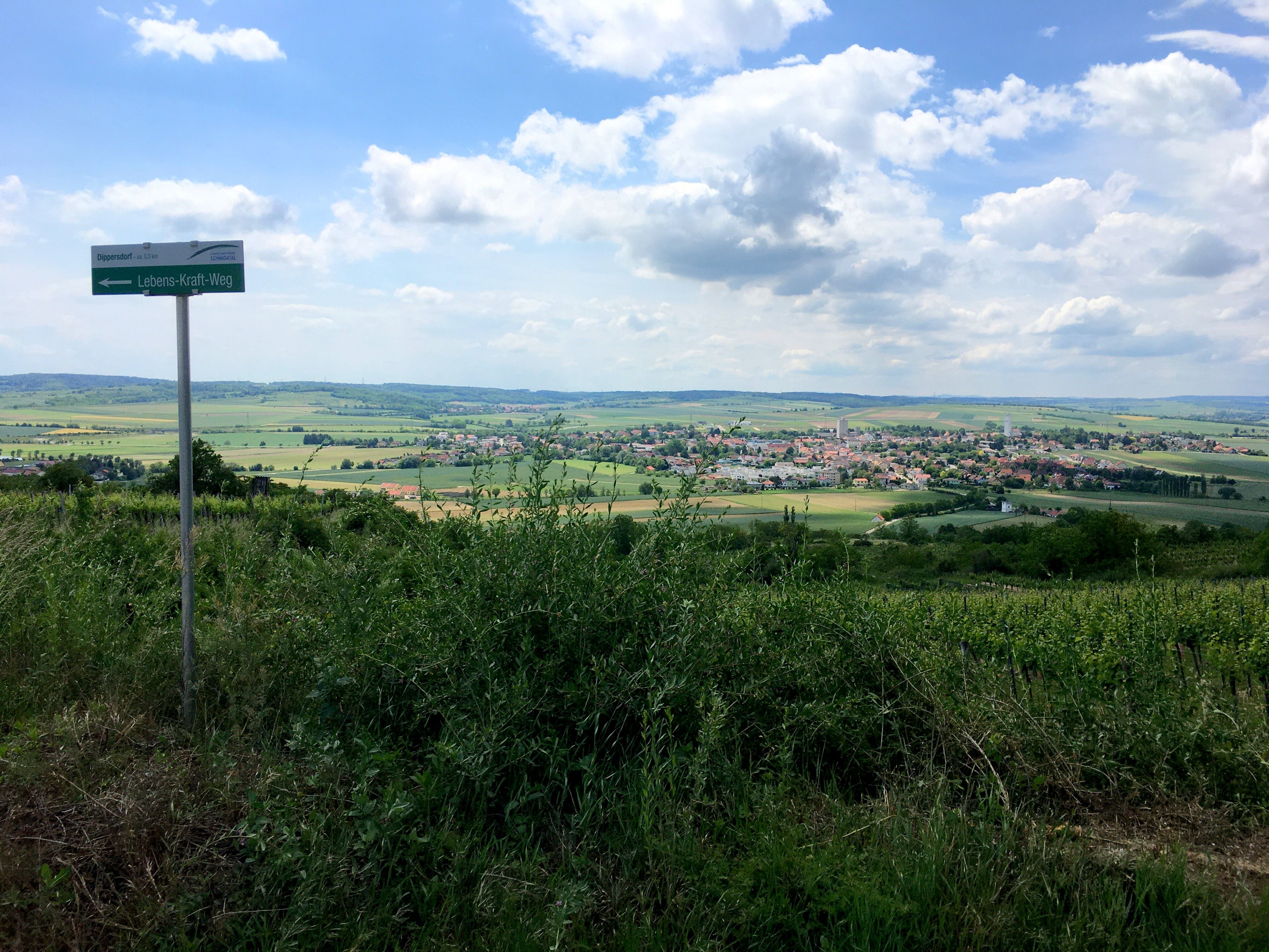 Landscape with view of Ziersdorf and signpost 'Lebens-Kraft-Weg'.