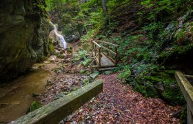 A forest path with a wooden bridge leads to a waterfall in a green, rocky gorge.