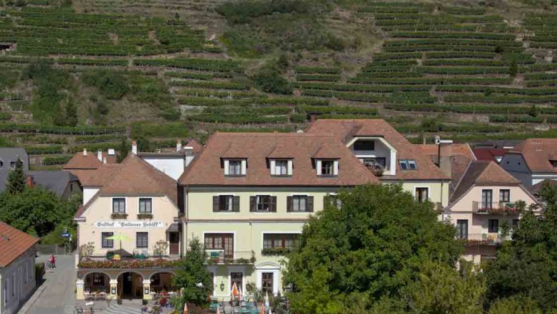 Exterior view of an inn with terrace and vineyards in the background.