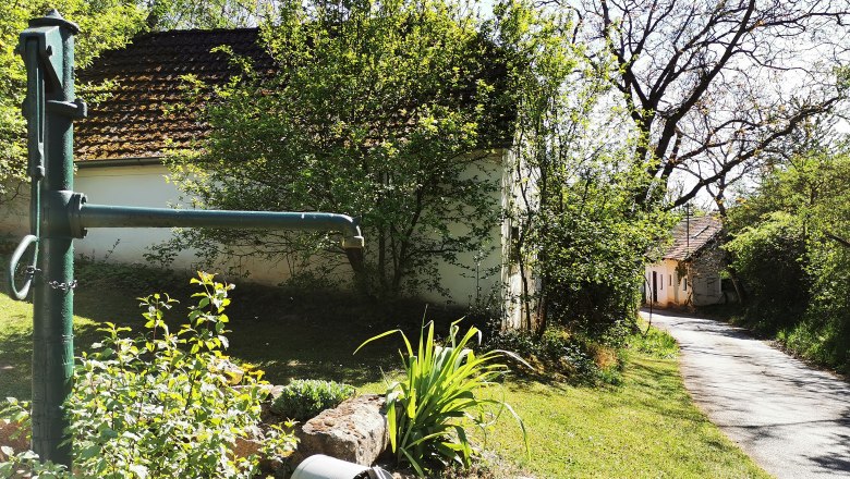 Rural scene with water pump, plants and path.