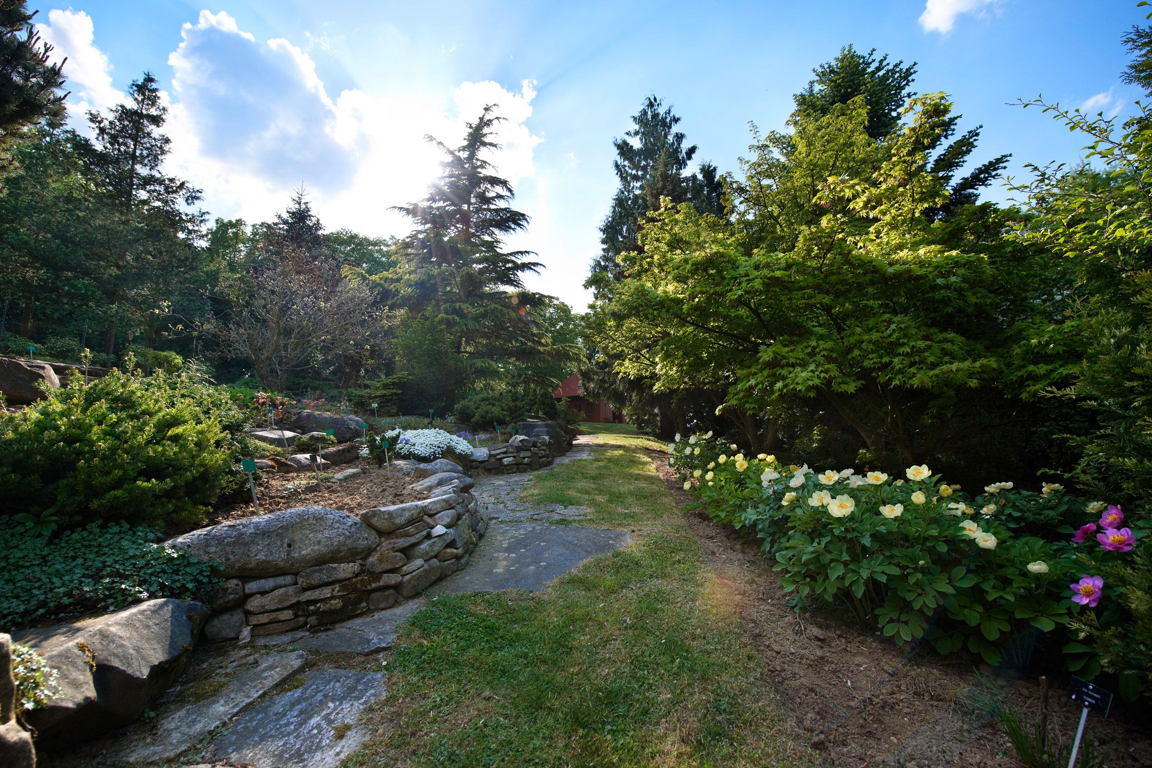 A well-tended garden with blooming flowers, trees and a paved path under a blue sky.