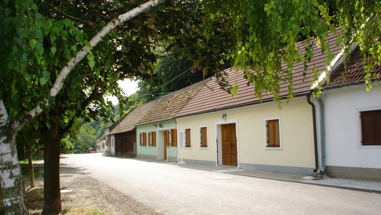 A quiet street with traditional houses and trees in the Ahrenberger-Eichberger wine cellar lane.
