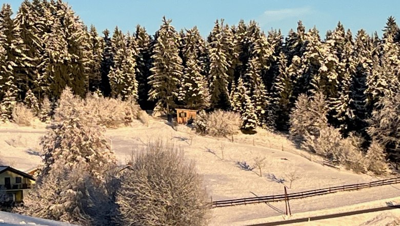 Snowy landscape with forest and small house in the background.