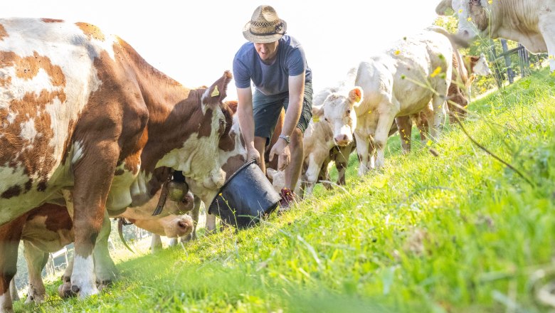 Organic farm Phyrabauer, &copy; Theo Kust